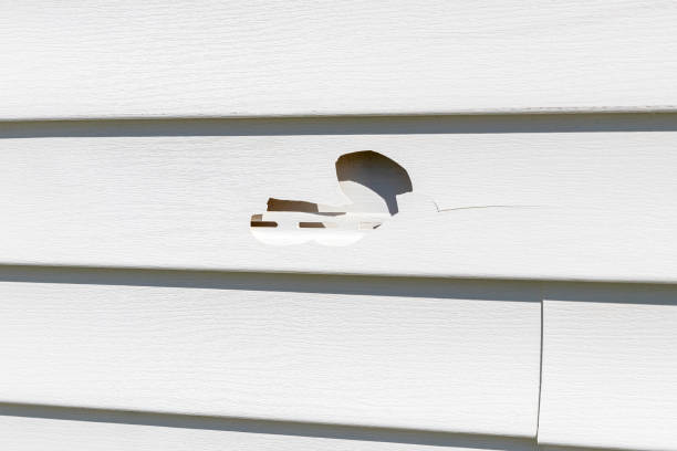 Best Property Management Cleanouts  in Hummelstown, PA